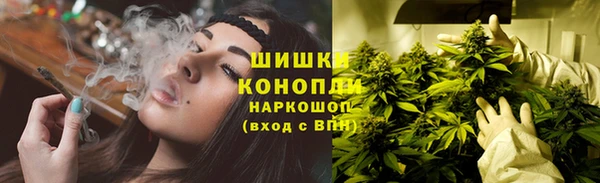 стаф Куйбышев