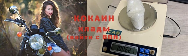 прущие крисы Новозыбков