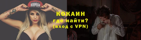 мяу мяу мука Кукмор