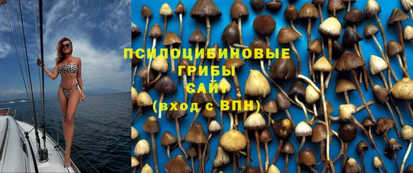 прущая мука Протвино