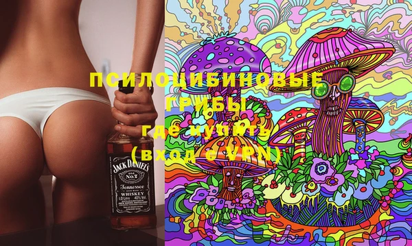 спайс Кулебаки