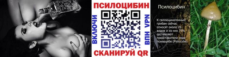 Галлюциногенные грибы Cubensis  Сычёвка 