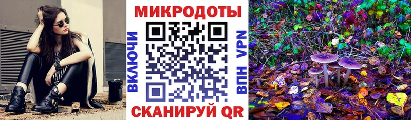 Псилоцибиновые грибы прущие грибы Сычёвка